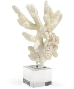 Chelsea House Coral Mount (Med)
