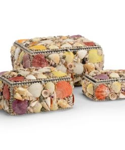 Chelsea House Shell Boxes (S3)