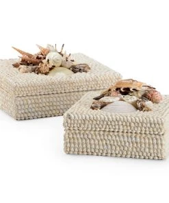 Chelsea House White Shell Boxes (S2) DECOR