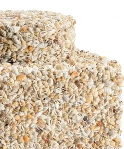 DECOR Chelsea House Tea Caddy - Shells