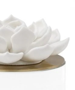 Chelsea House Succulent Sculpture (Med)