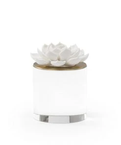 Chelsea House Succulent Sculpture (Med)