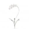 Chelsea House Orchid Stem - Silver (Med) 1 Chelsea House Orchid Stem - Silver (Med)