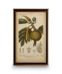 DECOR Chelsea House Exotic Botanica III