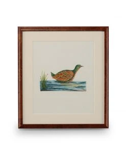 Wall Art Chelsea House Flights Of Fancy VI