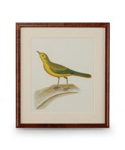 Chelsea House Flights Of Fancy XI