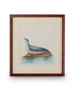 Chelsea House Flights Of Fancy XVI