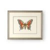 DECOR Chelsea House Butterfly I