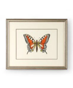DECOR Chelsea House Butterfly I