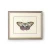 Chelsea House Butterfly III DECOR