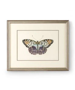 Chelsea House Butterfly III DECOR