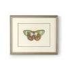 DECOR Chelsea House Butterfly IV