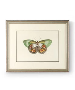 DECOR Chelsea House Butterfly IV