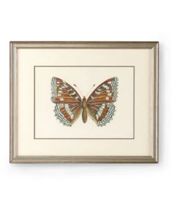 Chelsea House Butterfly V