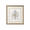 Chelsea House Besler Botanical In Blue II DECOR