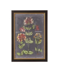 Chelsea House Vintage Botanical Chart I DECOR