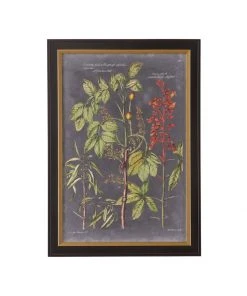 Chelsea House Vintage Botanical Chart III DECOR