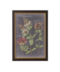 Chelsea House Vintage Botanical Chart IV DECOR