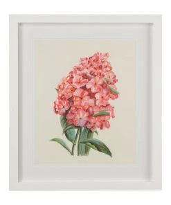 Chelsea House Flower Study I