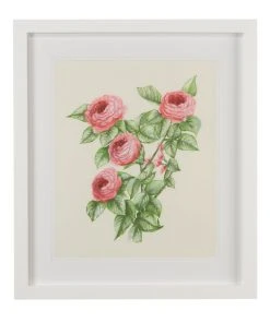 Chelsea House Flower Study II Wall Art