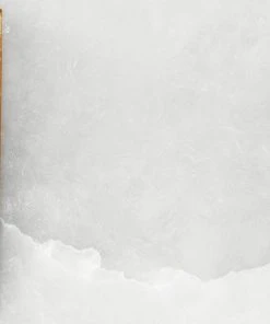 Sconces Jamie Young Delphi Wall Sconce In Antique Brass Metal