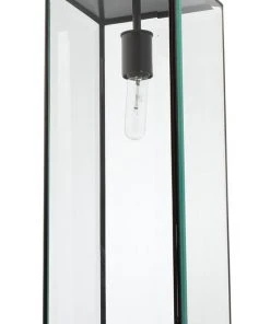 Jamie Young Tribecca Long Pendant In Oiled Bronze & Clear Glass