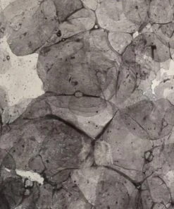 Wildwood Bolle Lamp - Gray Table Lamps