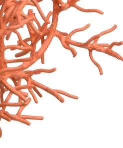 All Lighting Wildwood Sea Breeze Chandelier