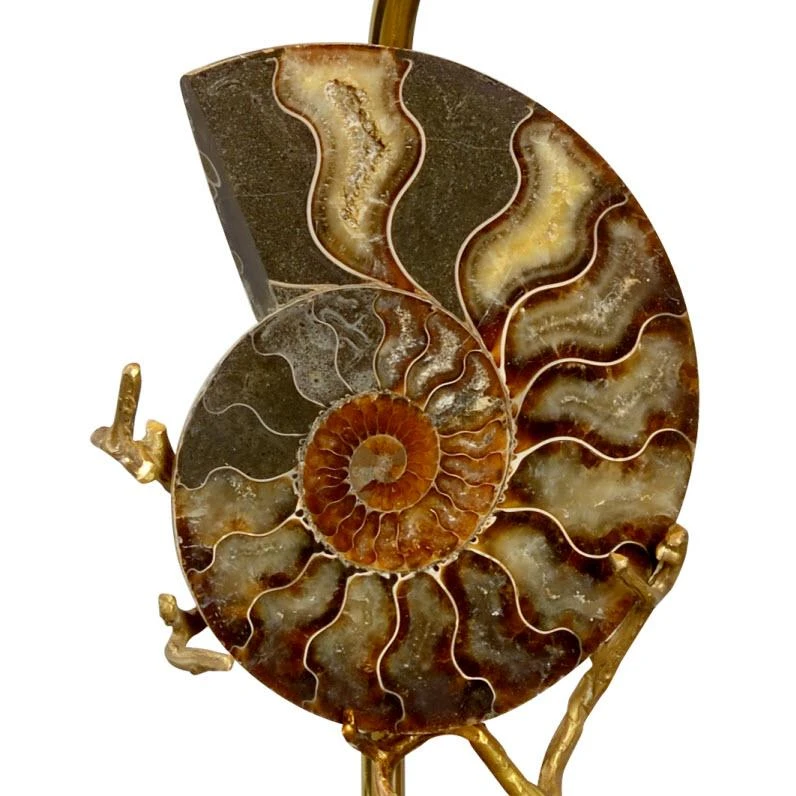 Chelsea House Ammonite Lamp (Right) Table Lamps 4 Chelsea House Ammonite Lamp (Right) Table Lamps