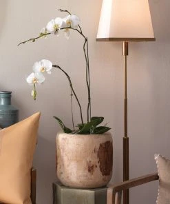 Jamie Young Brea Wooden Vase In Natural Wood