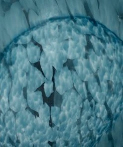 DECOR Jamie Young Cosmos Glass Balls In Indigo Swirl Glass