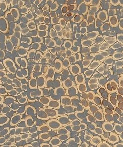 Jamie Young Rectangle Mirror In Grey Eggshell