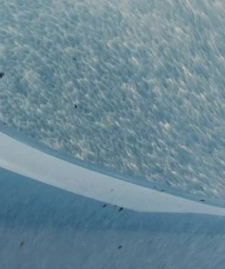 DECOR Jamie Young Triton Shell In Steel Blue Blown Glass