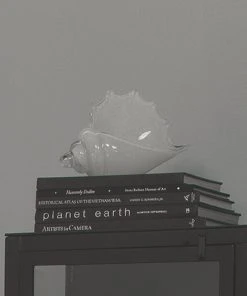 Jamie Young Triton Shell In White Blown Glass