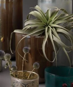 Jamie Young Medium Vapor Vase In Metallic Lavender DECOR