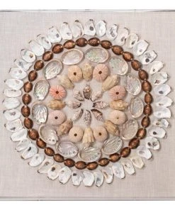 DECOR Jamie Young Bondi Acrylic Wall Art In Multi-Colored Shells