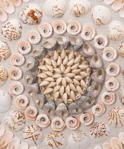 Jamie Young Caicos Acrylic Wall Art In Off White & Pink Shells