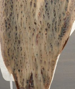 Table Lamps Jamie Young Landslide Table Lamp In Matte Grey Ceramic W/ Beige & White Drip 5 Table Lamps Jamie Young Landslide Table Lamp In Matte Grey Ceramic W/ Beige & White Drip