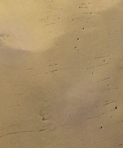 DECOR Noir Ripley, Brass