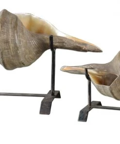 Uttermost Conch Shell Sculpture, Set/2 DECOR