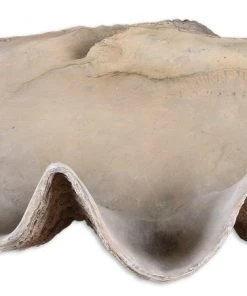 Uttermost Clam Shell Bowl DECOR