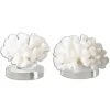 DECOR Uttermost Hard Coral Sculptures, S/2