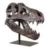 DECOR Uttermost Tyrannosaurus Sculpture