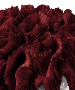 Uttermost Red Coral Cluster