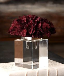Uttermost Red Coral Cluster