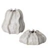 Uttermost Urchin Textured Ivory Vases, S/2 DECOR