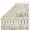 Jaipur Living Riot Handmade Geometric Ivory/ Black Area Rug