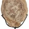 Noir Wood Fossil With Stand, 12, DECOR