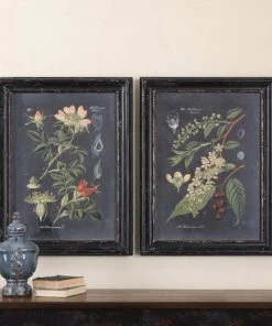 Uttermost Midnight Botanicals Wall Art S/2