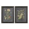 Uttermost Midnight Botanicals Wall Art S/2